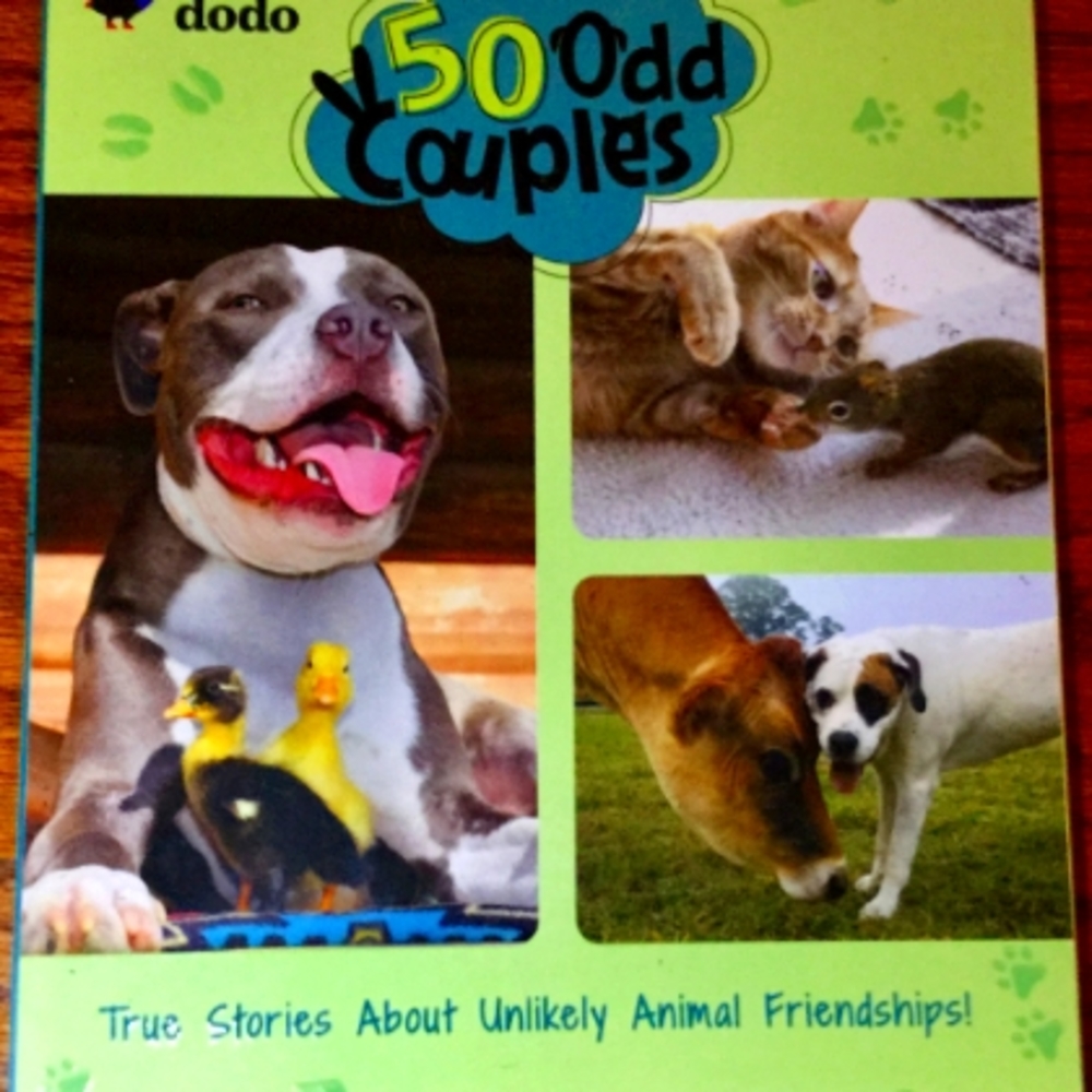 50 Odd Couples, by Gabe Polt